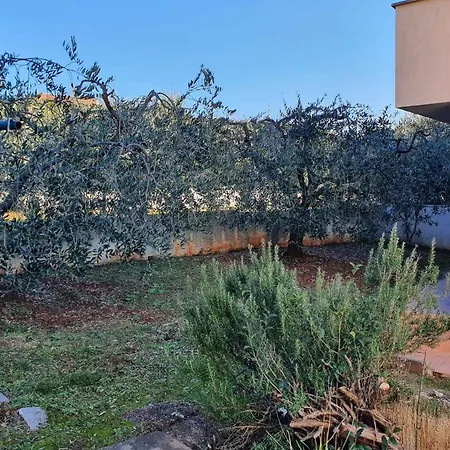 In Vabriga - Istrien 42525 Lägenhet