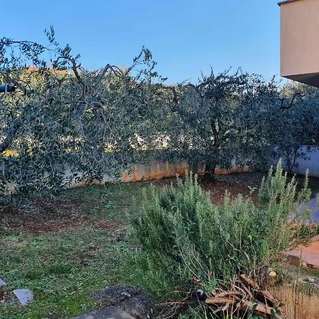 In Vabriga - Istrien 42525